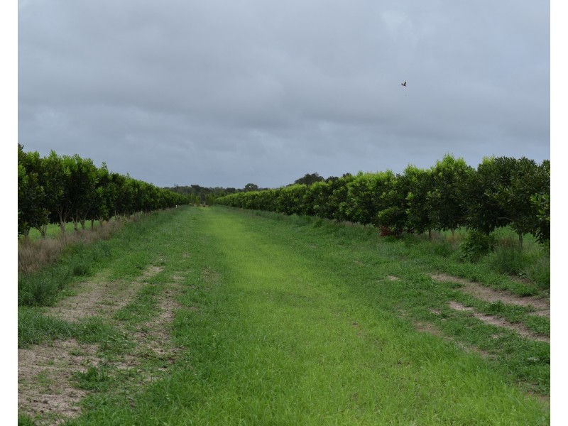 Welcome Creek QLD 4670