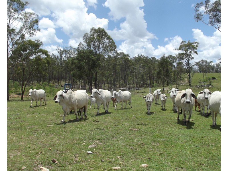 Lot 58 Isis Highway, Dallarnil QLD 4621