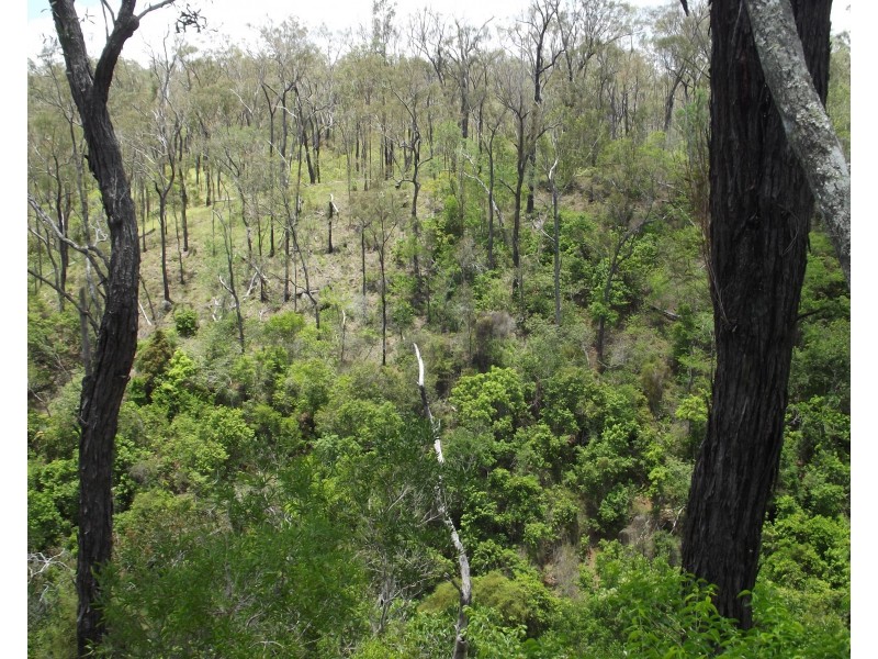 Lot 58 Isis Highway, Dallarnil QLD 4621