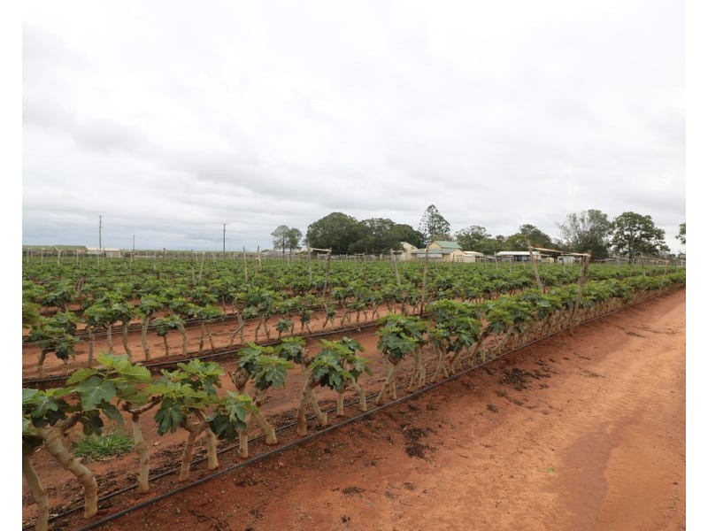 Lot 3, 430 Goodwood Road, Alloway QLD 4670