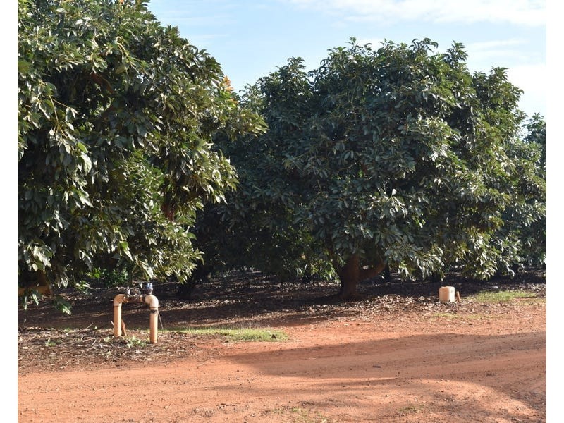 Lot 3, 430 Goodwood Road, Alloway QLD 4670