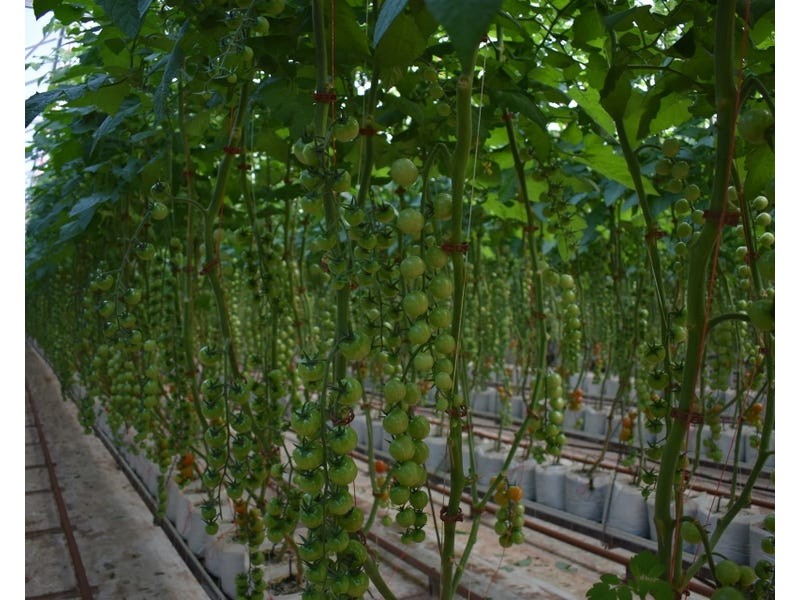 Lot 3, 430 Goodwood Road, Alloway QLD 4670