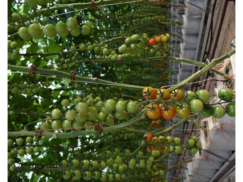 Lot 3, 430 Goodwood Road, Alloway QLD 4670