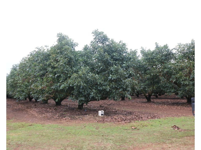 4330 Goodwood Road, Alloway QLD 4670