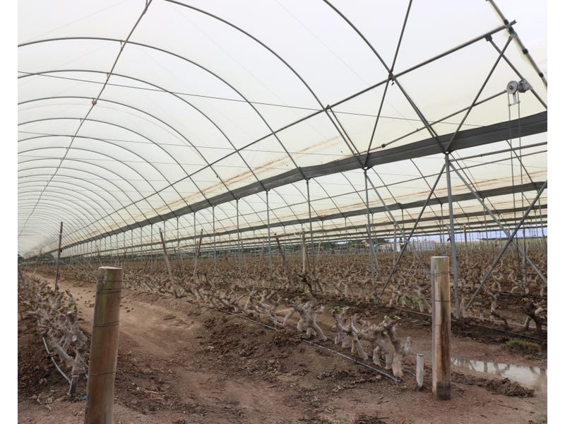 4330 Goodwood Road, Alloway QLD 4670