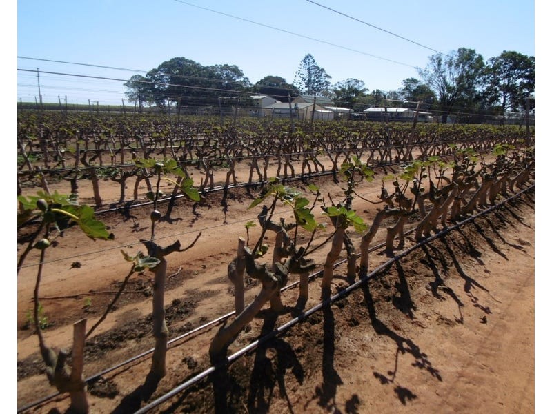 4330 Goodwood Road, Alloway QLD 4670