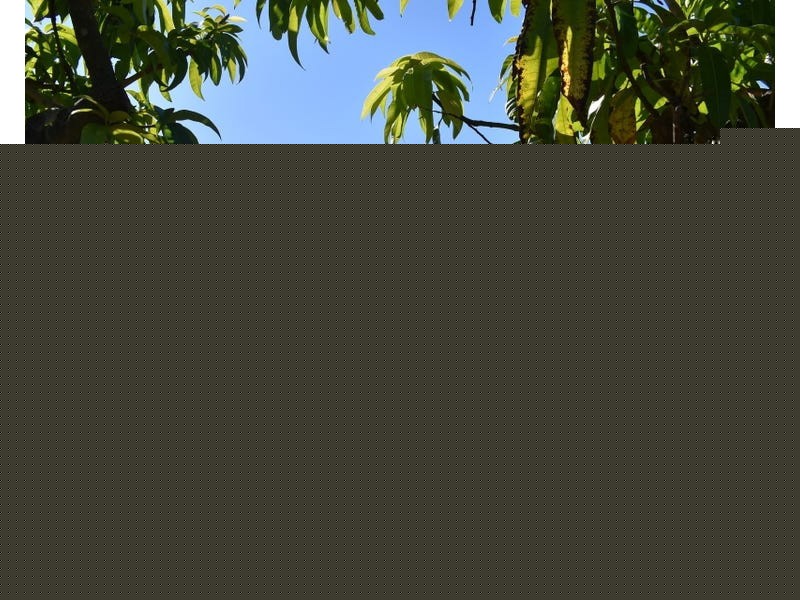 86 Simpsons Road, Bullyard QLD 4671