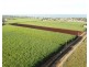 Gibsons Road, Burnett Heads QLD 4670