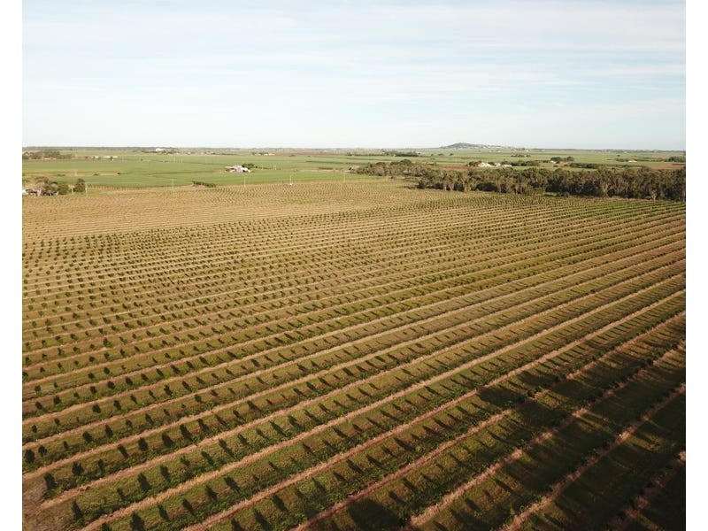 Burnett Heads Road, Burnett Heads QLD 4670