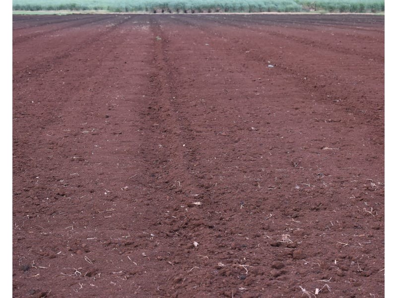 Burnett Heads Road, Burnett Heads QLD 4670