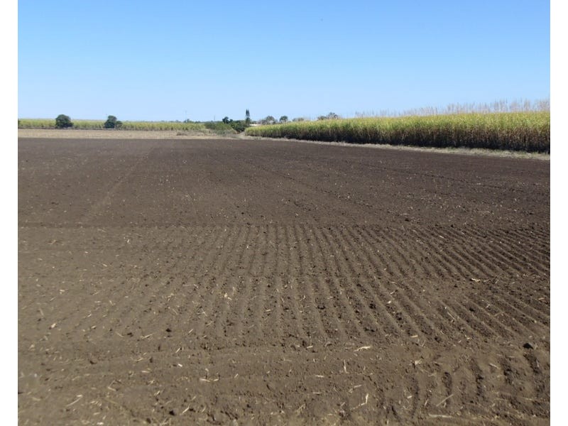 Burnett Heads Road, Burnett Heads QLD 4670