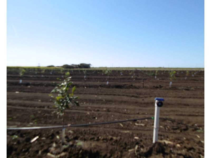 Burnett Heads Road, Burnett Heads QLD 4670