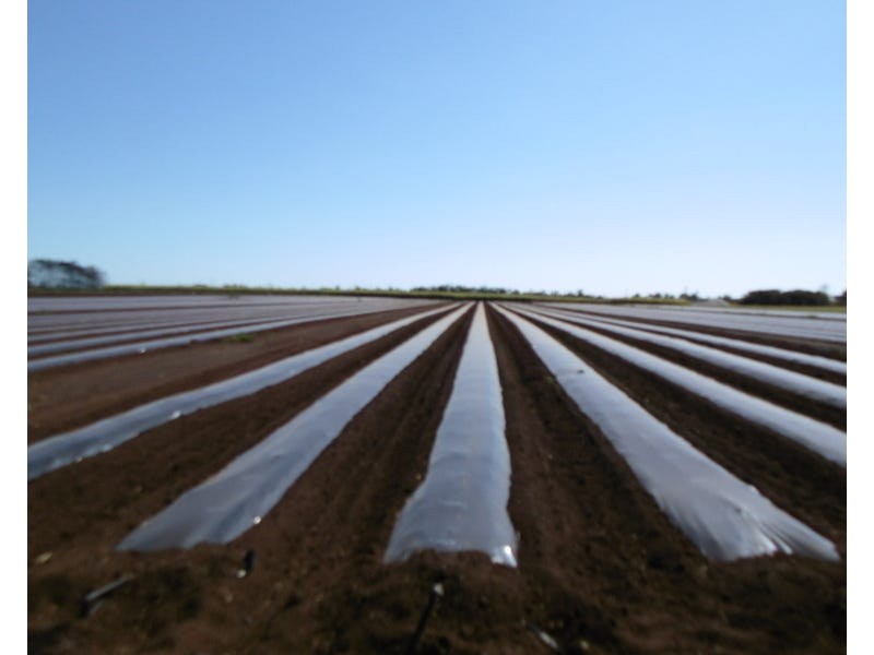 Burnett Heads Road, Burnett Heads QLD 4670