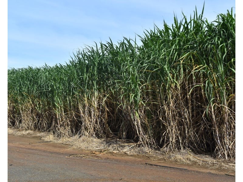 Burnett Heads Road, Burnett Heads QLD 4670