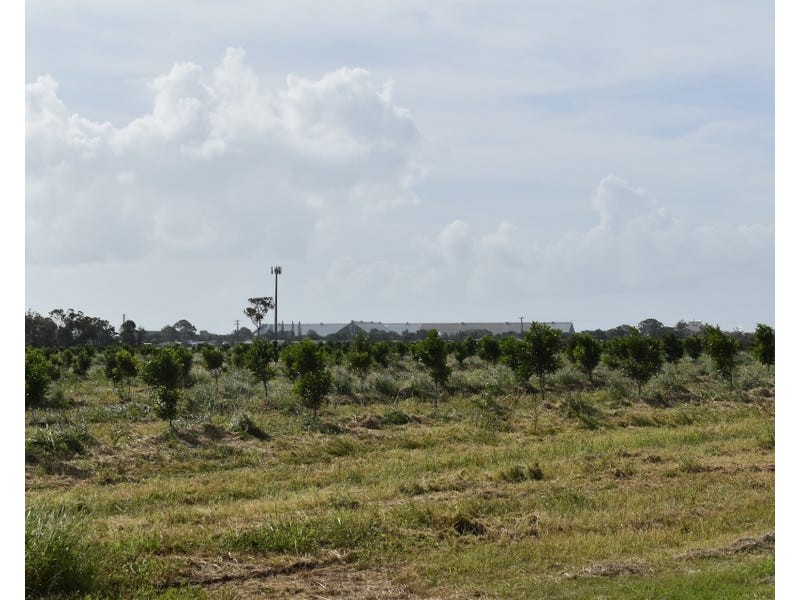 Burnett Heads Road, Burnett Heads QLD 4670