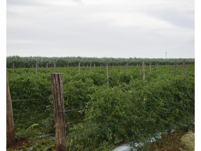 Burnett Heads Road, Burnett Heads QLD 4670