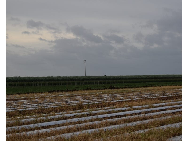 Burnett Heads Road, Burnett Heads QLD 4670