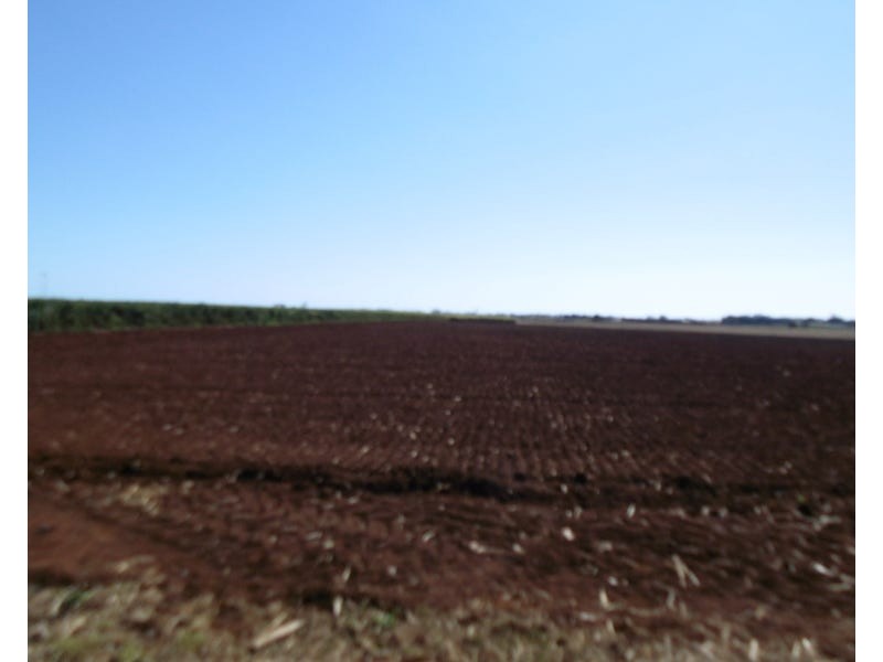 Burnett Heads Road, Burnett Heads QLD 4670