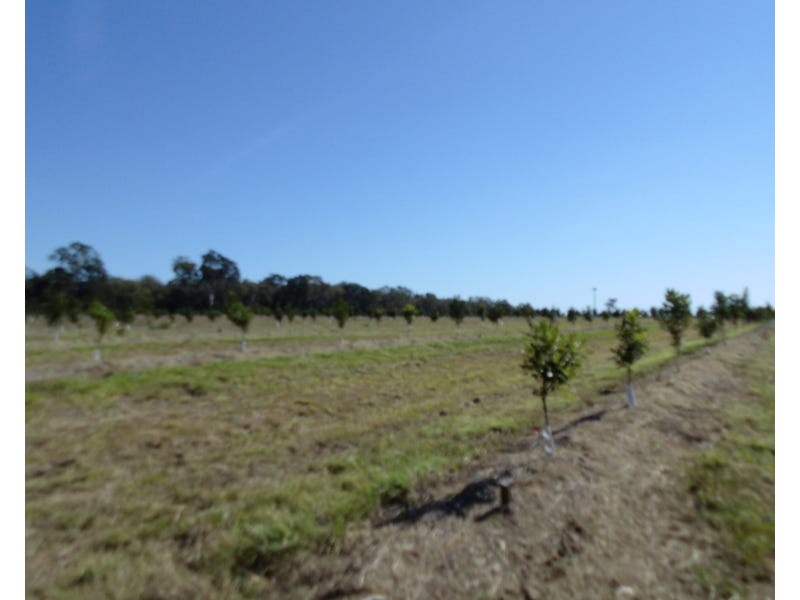 Burnett Heads Road, Burnett Heads QLD 4670