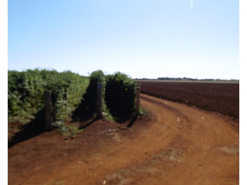 Burnett Heads Road, Burnett Heads QLD 4670