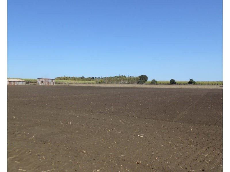 Burnett Heads Road, Burnett Heads QLD 4670