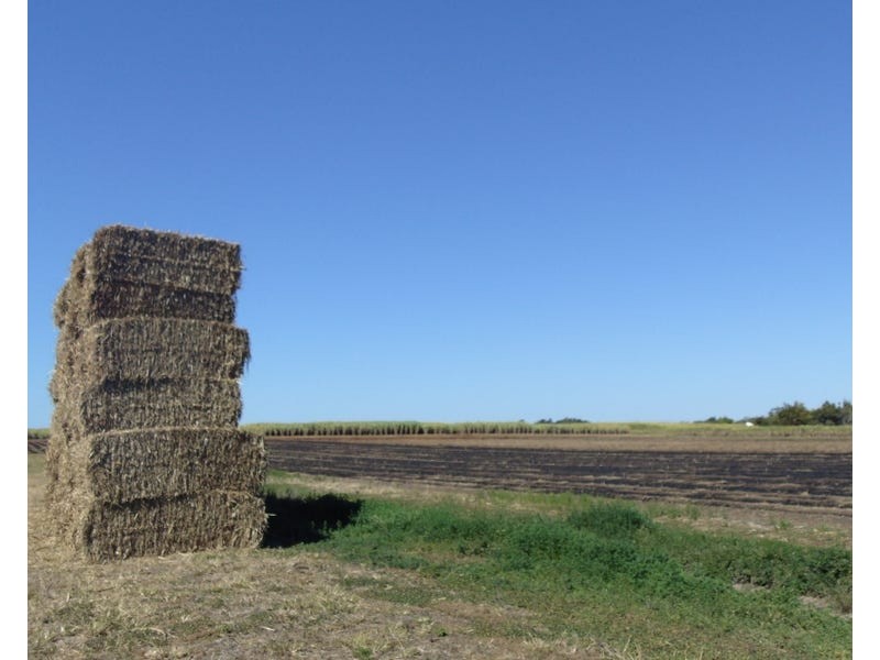 Burnett Heads Road, Burnett Heads QLD 4670