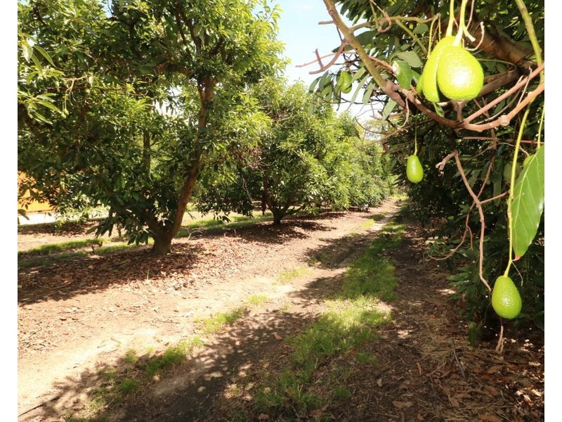 154 Foleys Road, North Gregory QLD 4660