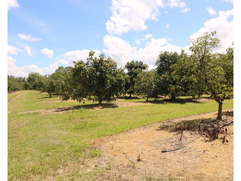 154 Foleys Road, North Gregory QLD 4660