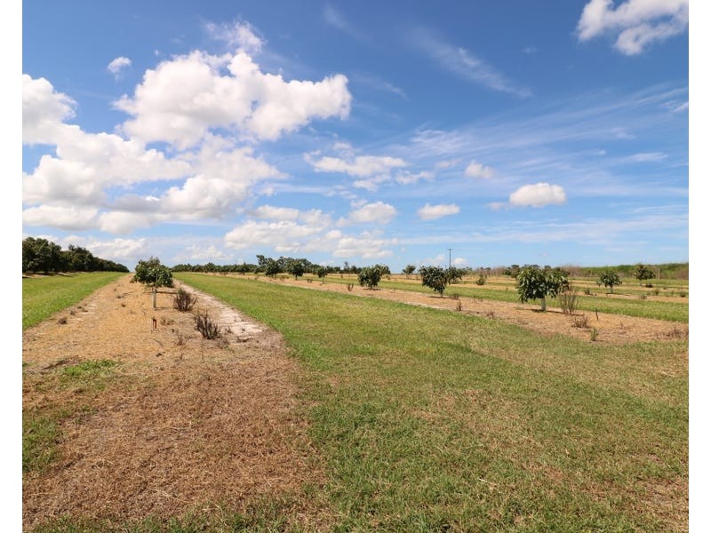 154 Foleys Road, North Gregory QLD 4660