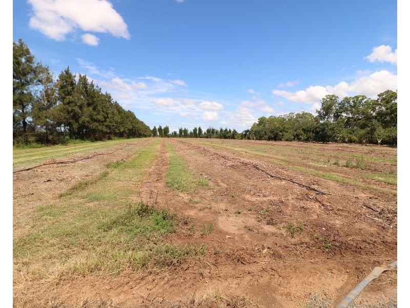 154 Foleys Road, North Gregory QLD 4660