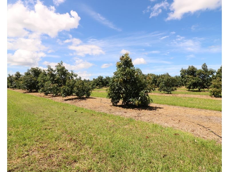 154 Foleys Road, North Gregory QLD 4660