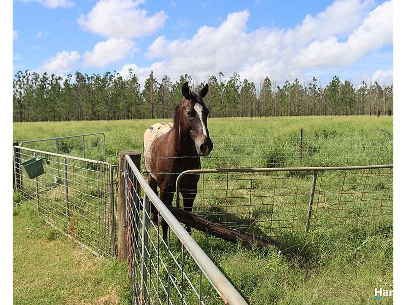 344 Sully Dowdings Road, Pine Creek QLD 4670