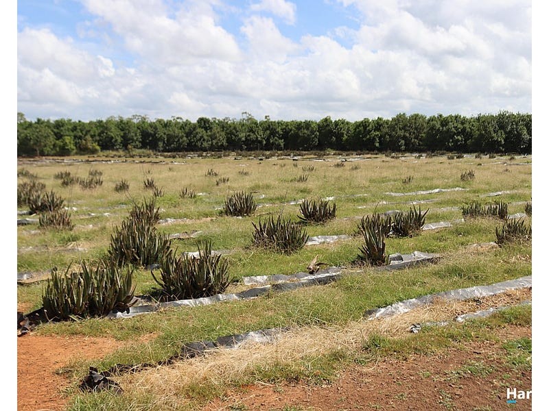 344 Sully Dowdings Road, Pine Creek QLD 4670