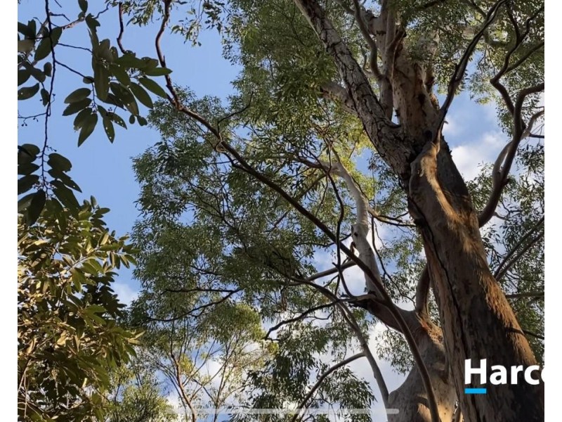 7 Melaleuca Court, Redridge QLD 4660