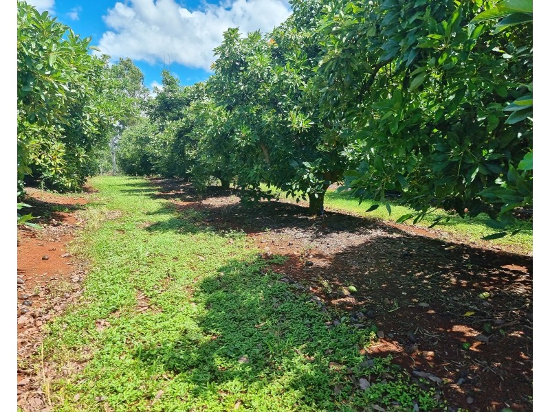 1 Cottonwood Close, Doolbi QLD 4660