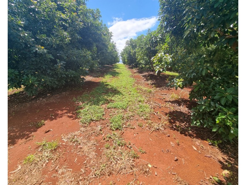 1 Cottonwood Close, Doolbi QLD 4660