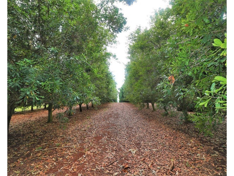 28604 Bruce Highway, Doolbi QLD 4660