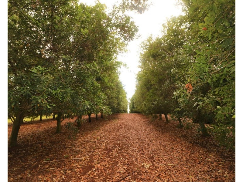 28604 Bruce Highway, Doolbi QLD 4660