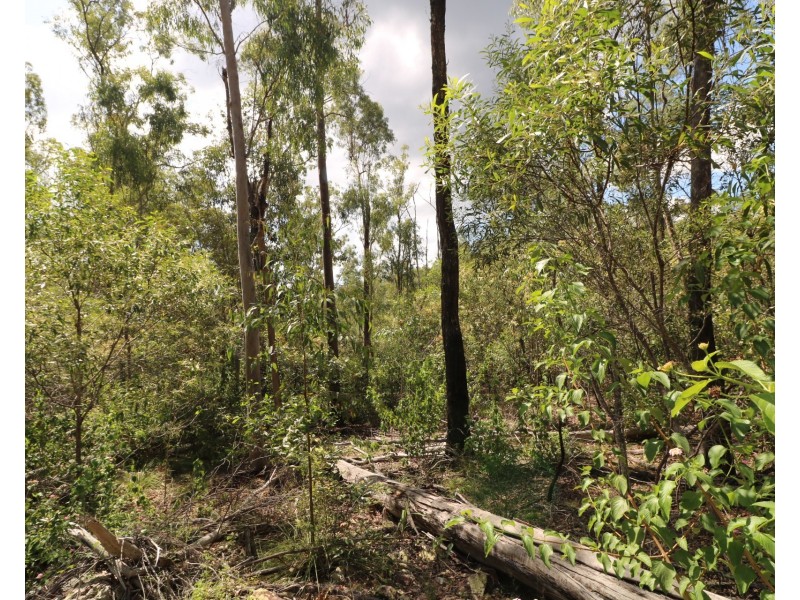 325 Berthelsens Road, Booyal QLD 4671