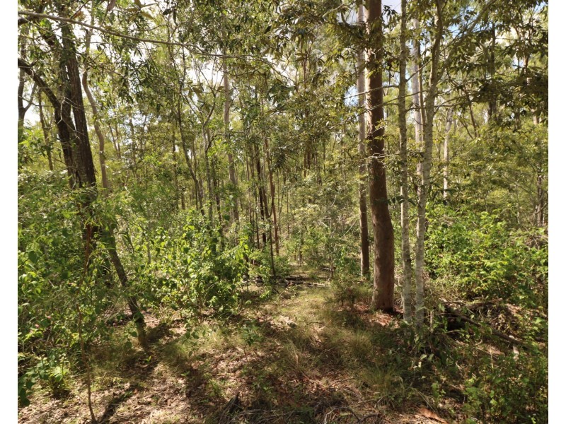 325 Berthelsens Road, Booyal QLD 4671