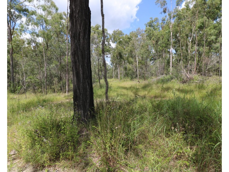 143 Bunns Road, Apple Tree Creek QLD 4660