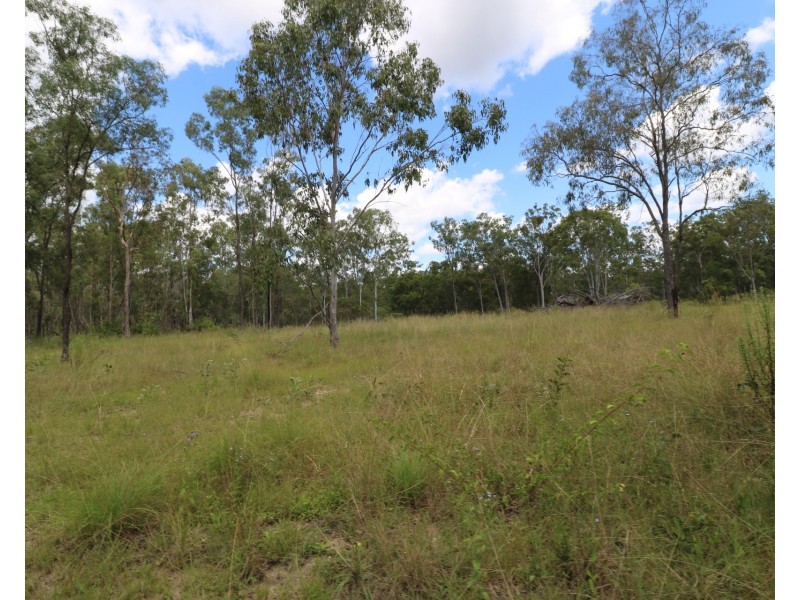 143 Bunns Road, Apple Tree Creek QLD 4660