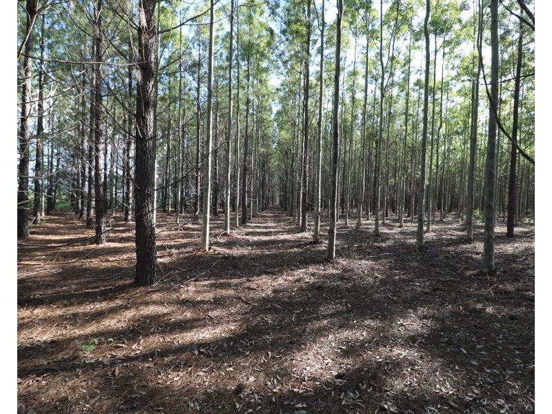 289 Mckenzies Road, North Isis QLD 4660