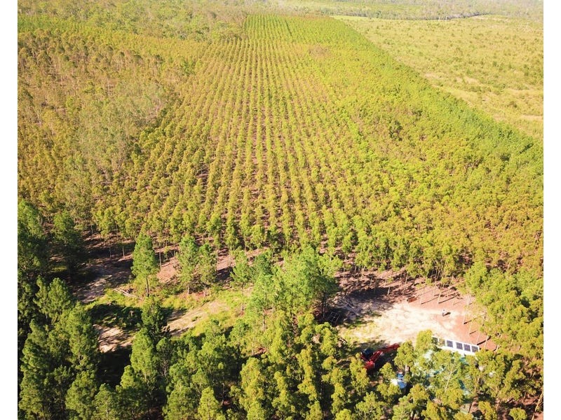 289 Mckenzies Road, North Isis QLD 4660