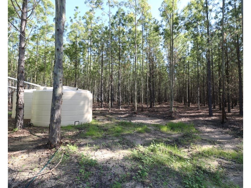 289 Mckenzies Road, North Isis QLD 4660