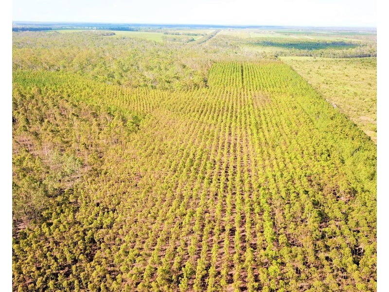 289 Mckenzies Road, North Isis QLD 4660