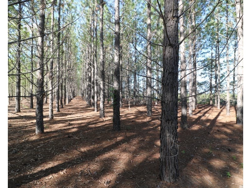 289 Mckenzies Road, North Isis QLD 4660