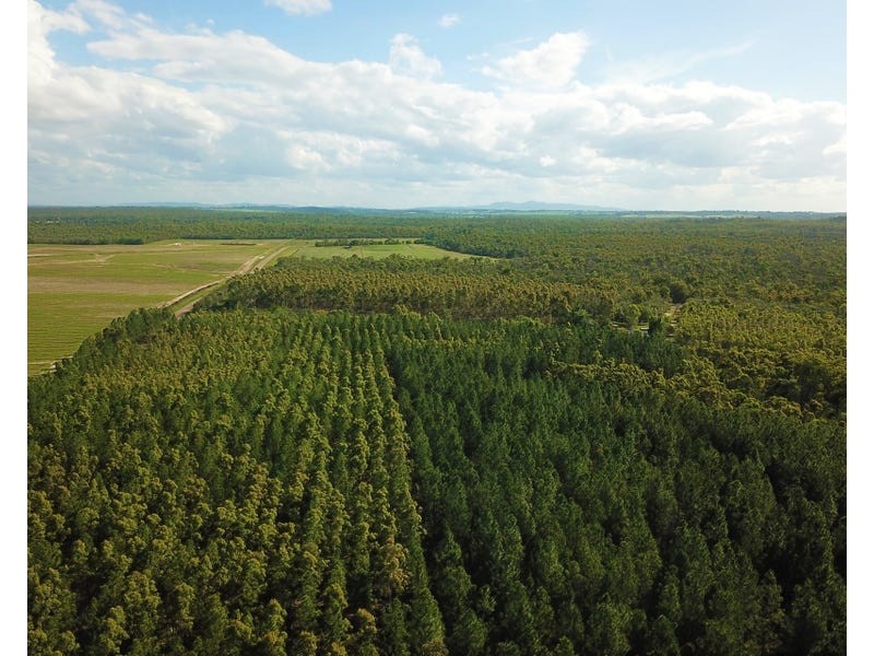 289 Mckenzies Road, North Isis QLD 4660