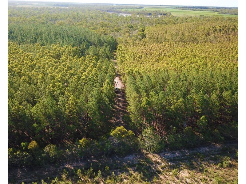 289 Mckenzies Road, North Isis QLD 4660