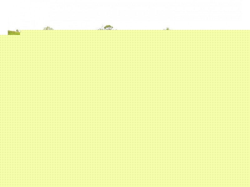 284 RAILWAY ROAD, Booyal QLD 4671